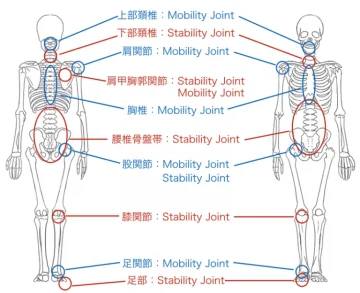 ドライトレーニングの解説① 【水泳に還元させるために】