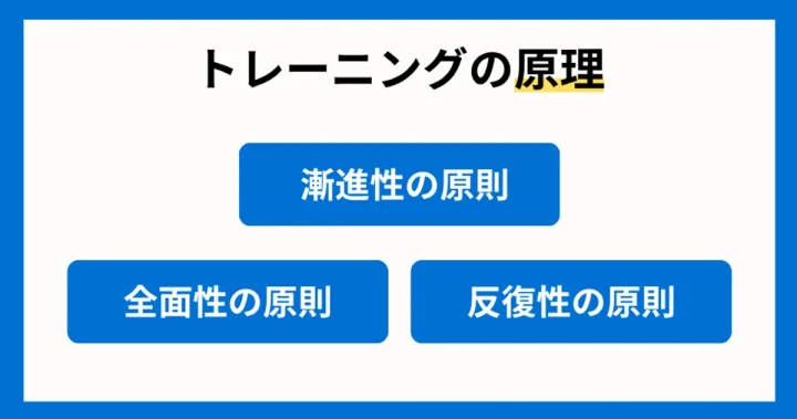 水泳選手にも知って欲しい【トレーニングの原理・原則】の画像