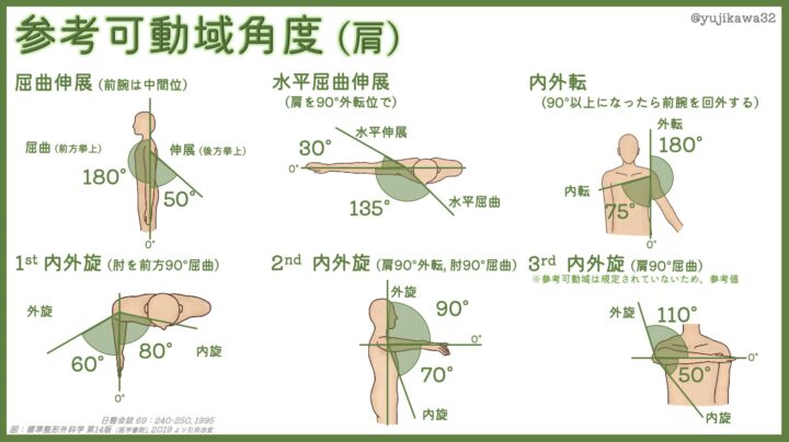 水泳選手にも知ってほしい機能解剖学【肩関節編part１】の画像