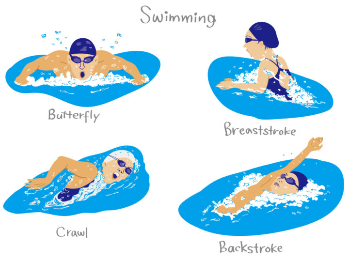 水泳のルール(4泳法のルール確認)の画像