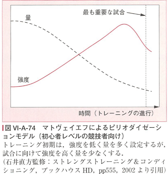 慶應大学水泳部 トレーニング計画 【2025‐2026Season】の画像