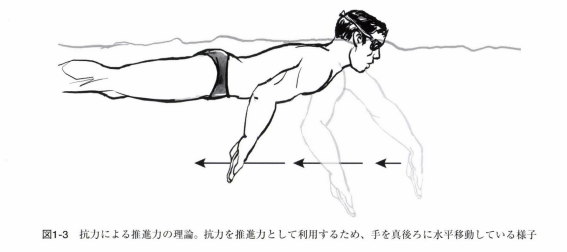 水泳の歴史|スイサポ:水泳個人レッスン・スイミングプライベートレッスン/東京・都内/品川区(大井町・大崎・五反田)/江東区(豊洲・有明)/大人・子ども