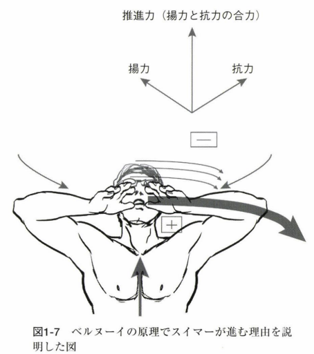水泳の歴史|スイサポ:水泳個人レッスン・スイミングプライベートレッスン/東京・都内/品川区(大井町・大崎・五反田)/江東区(豊洲・有明)/大人・子ども