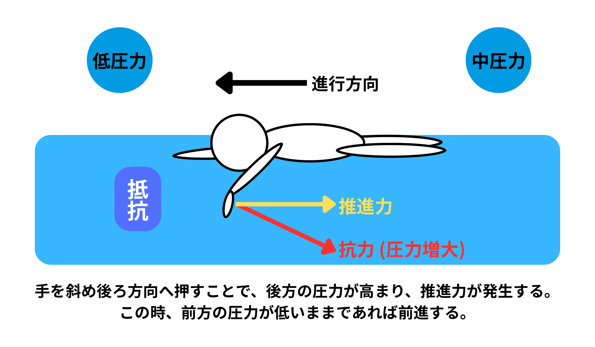 水泳ってどんなスポーツ?|水の特性を知ろう|スイサポ:水泳個人レッスン・スイミングプライベートレッスン/東京・都内/品川区(大井町・大崎・五反田)/江東区(豊洲・有明)/大人・子ども