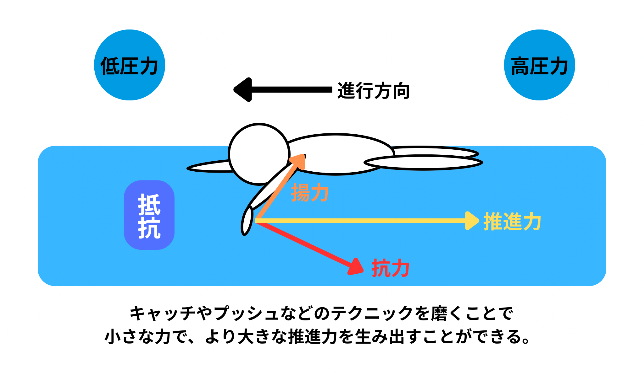 水泳ってどんなスポーツ?|水の特性を知ろう|スイサポ:水泳個人レッスン・スイミングプライベートレッスン/東京・都内/品川区(大井町・大崎・五反田)/江東区(豊洲・有明)/大人・子ども
