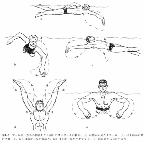 水泳の歴史|スイサポ:水泳個人レッスン・スイミングプライベートレッスン/東京・都内/品川区(大井町・大崎・五反田)/江東区(豊洲・有明)/大人・子ども