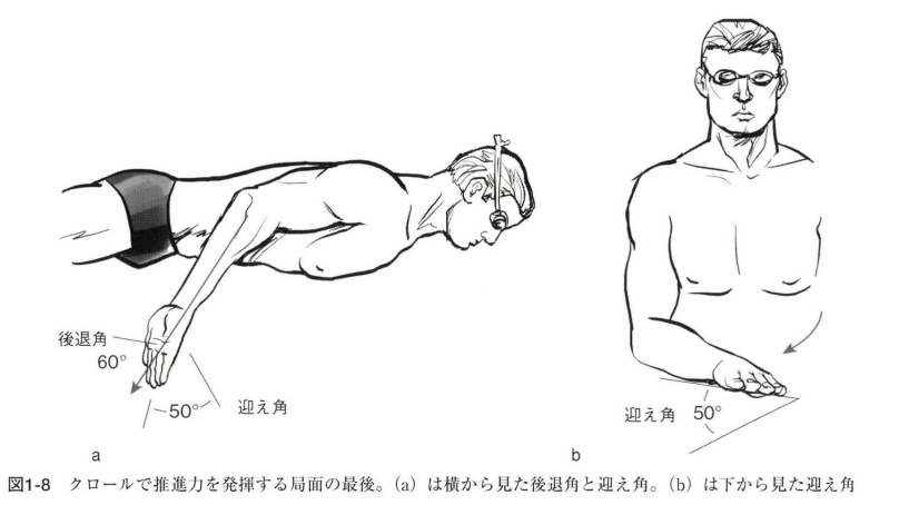 水泳の歴史|スイサポ:水泳個人レッスン・スイミングプライベートレッスン/東京・都内/品川区(大井町・大崎・五反田)/江東区(豊洲・有明)/大人・子ども