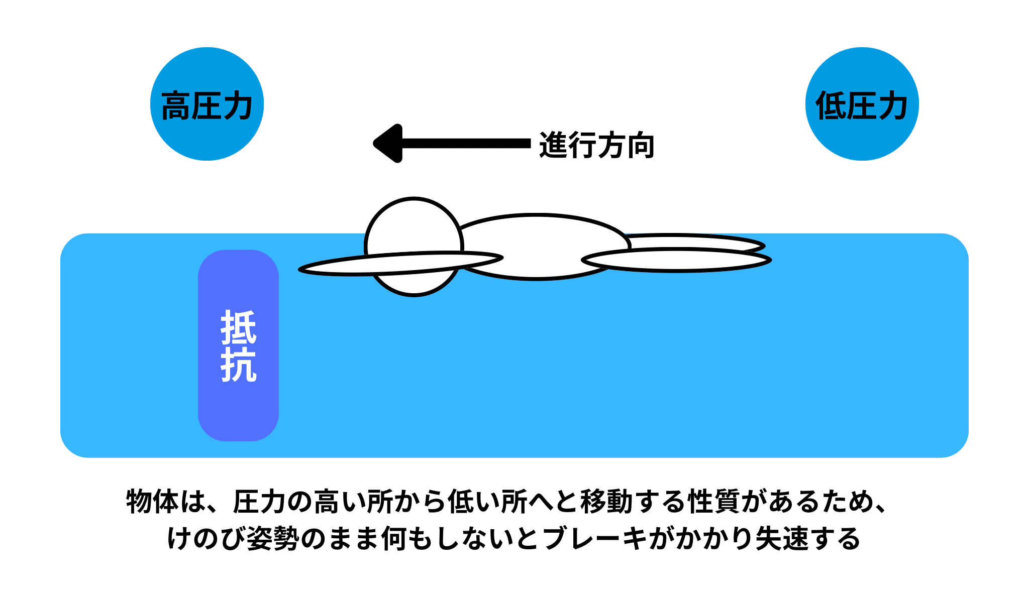 水泳ってどんなスポーツ?|水の特性を知ろう|スイサポ:水泳個人レッスン・スイミングプライベートレッスン/東京・都内/品川区(大井町・大崎・五反田)/江東区(豊洲・有明)/大人・子ども