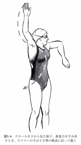 水泳の歴史|スイサポ:水泳個人レッスン・スイミングプライベートレッスン/東京・都内/品川区(大井町・大崎・五反田)/江東区(豊洲・有明)/大人・子ども