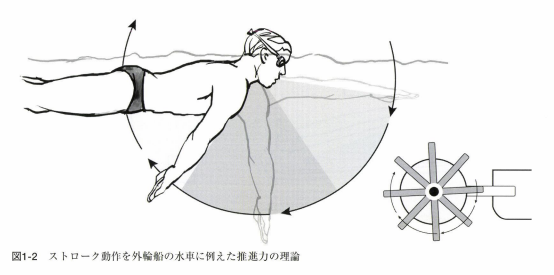 水泳の歴史|スイサポ:水泳個人レッスン・スイミングプライベートレッスン/東京・都内/品川区(大井町・大崎・五反田)/江東区(豊洲・有明)/大人・子ども