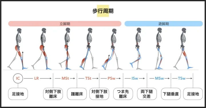 意識するvs意識しない|タイムを上げるには結局どちらが良いのか?【Vol.1】の画像
