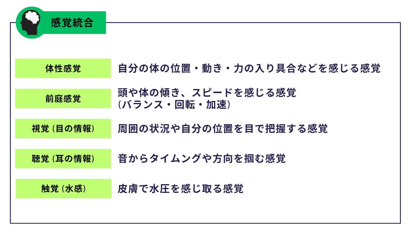 スイサポ：水泳個人レッスン・スイミングプライベートレッスン/東京・都内/品川区(大井町・大崎・五反田)/江東区(豊洲・有明)/大人・子ども