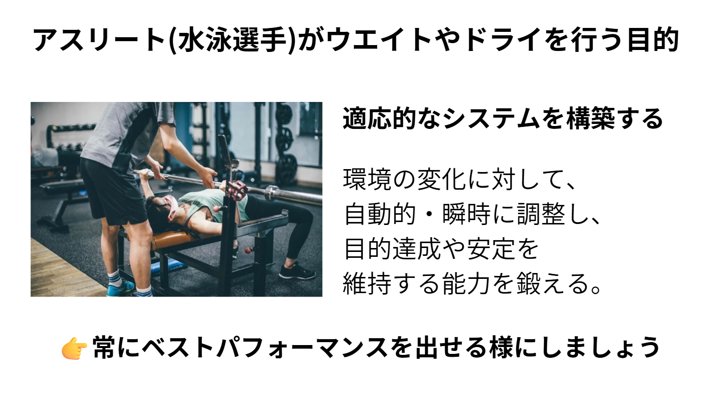 スイサポ：水泳個人レッスン・スイミングプライベートレッスン/東京・都内/品川区(大井町・大崎・五反田)/江東区(豊洲・有明)/大人・子ども